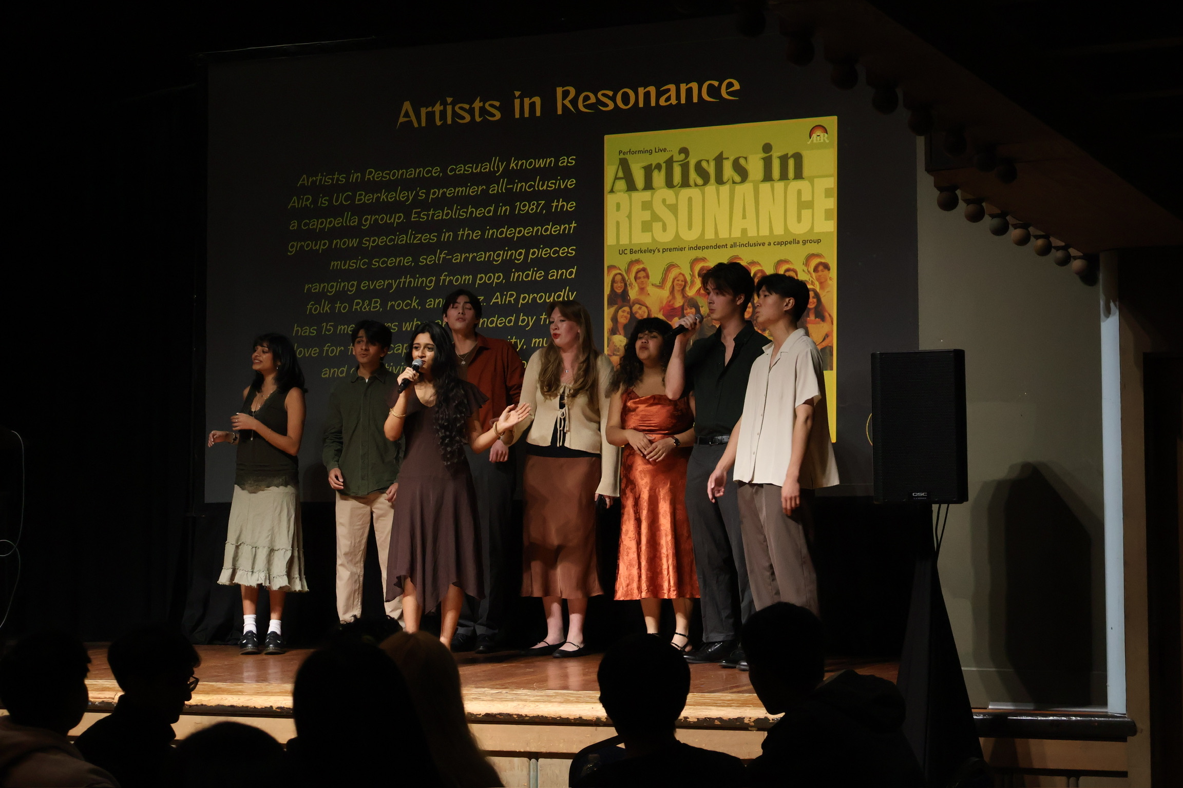 Artists in Resonance performing on stage